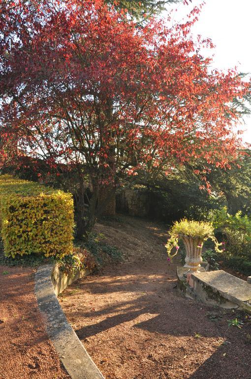 Les Jardins De L'Hacienda Bed and Breakfast Tarare Buitenkant foto
